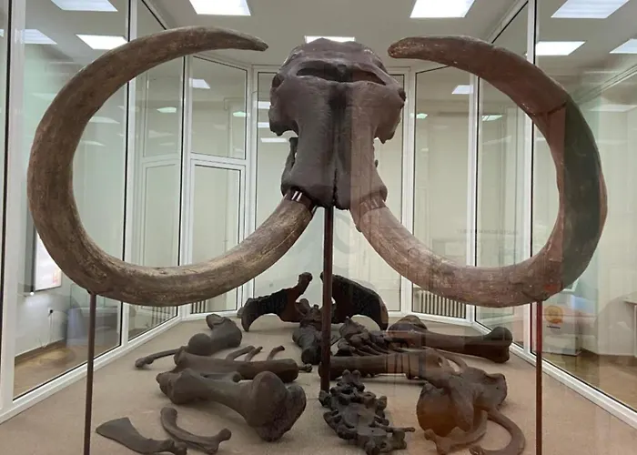 Peaceful Suvacha 아파트