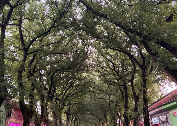 Peaceful Suvacha 아파트 Kikinda